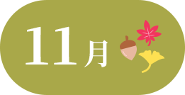 11月