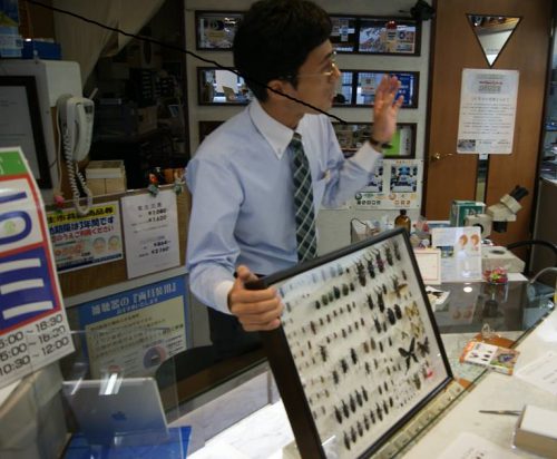 「福生まちゼミ」の一コマ。母親が西伊豆出身だったため、子どもの頃から夏休みは西伊豆の豊かな自然のもとで、昆虫採集に夢中になった。地元の人に顔を知ってほしいと参加したまちゼミ。未来の昆虫ファンを育てたいという、ささやかな願いも