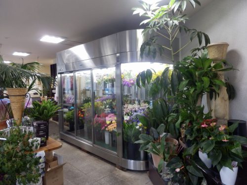 店内は切り花だけでなく、観葉植物、エアープランツ、多肉植物とありとあらゆる植物に囲まれた、わくわくする空間になっている